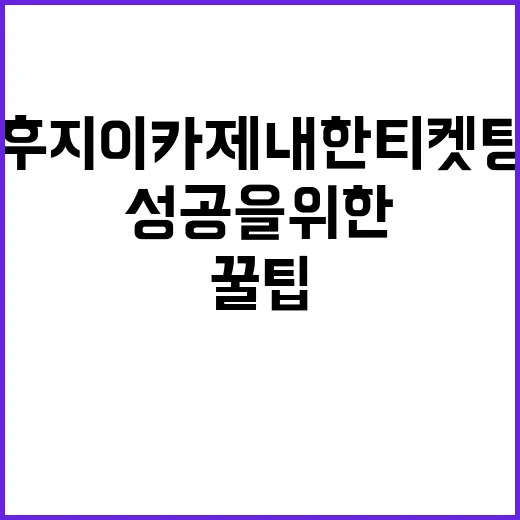 후지이카제 내한 티켓팅, 성공을 위한 꿀팁! - 요약