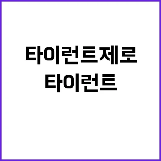 타이런트 제로, 어떻게 활용할까? - 요약