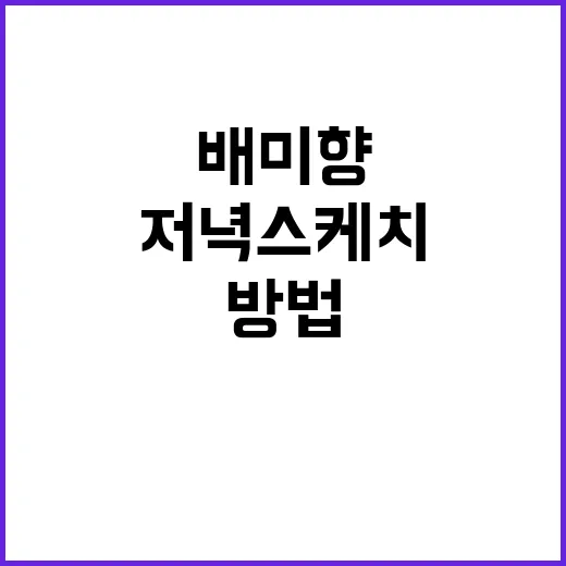 배미향의 저녁 스케치로 일상에 색을 더하는 방법 - 요약