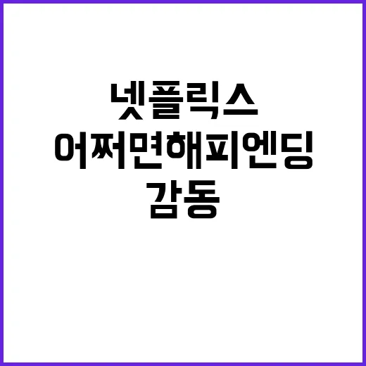 어쩌면 해피엔딩, 넷플릭스에서 더 큰 감동을 느끼는 방법 - 요약