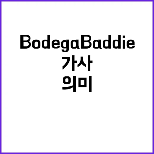 Bodega Baddie: 가사 속 숨겨진 의미를 파헤치다 - 요약
