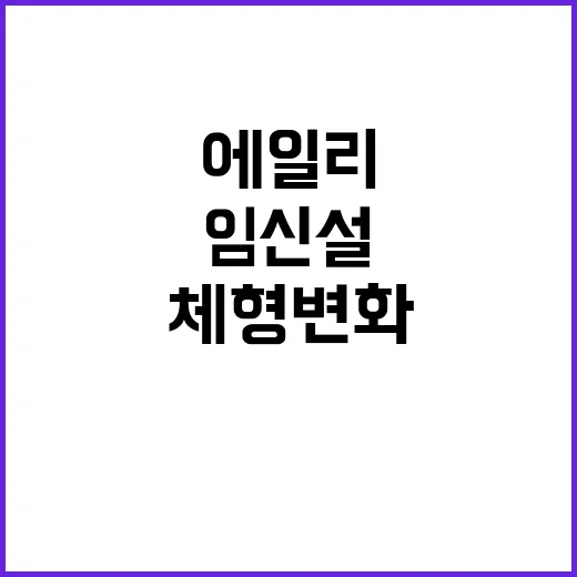 에일리의 체형 변화, 임신설의 진실은? - 요약