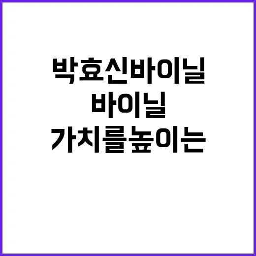 박효신 바이닐, 소장 가치를 높이는 방법 - 요약