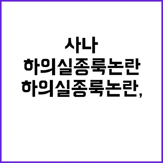 사나의 하의 실종룩 논란, 그 진짜 이야기 - 요약