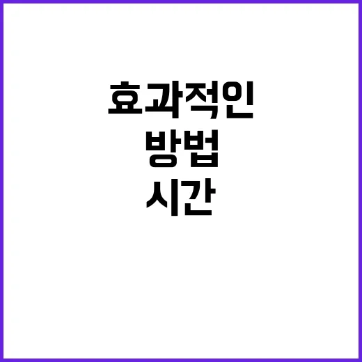 안홍석과 함께하는 효과적인 시간 관리 방법 - 요약