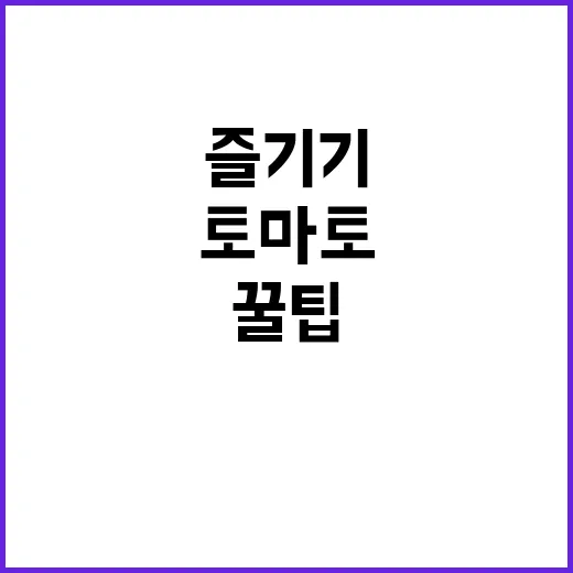 초보자를 위한 퇴촌 토마토 축제 즐기기 꿀팁 - 요약