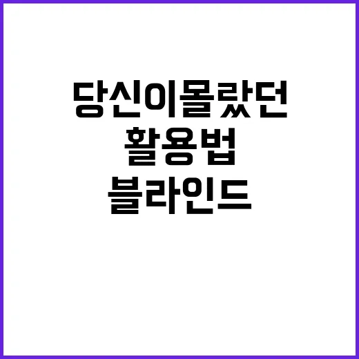 32기 상철 블라인드 활용법: 당신이 몰랐던 팁 - 요약