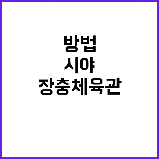 장충체육관에서 최고의 시야를 확보하는 방법 - 요약