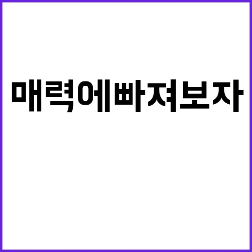 파친코의 뜻과 그 매력에 빠져보자 - 요약