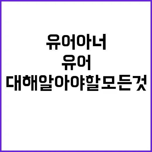 유어아너에 대해 알아야 할 모든 것 - 요약