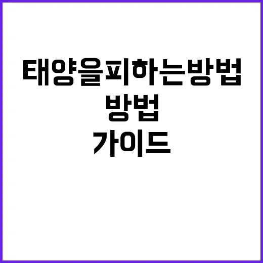 태양을 피하는 방법: 건강한 실내 생활 가이드 - 요약