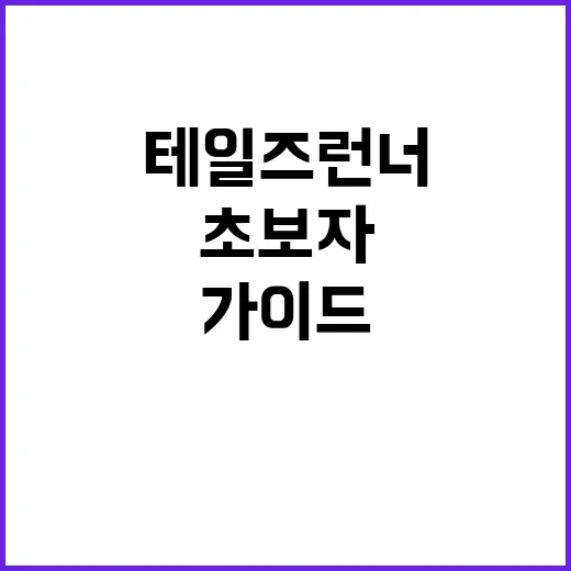 테일즈런너 캐캐체 초보자를 위한 완벽 가이드 - 요약