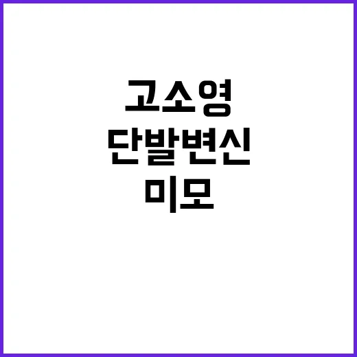 고소영의 동안 비결: 단발 변신으로 더욱 빛나는 미모! - 요약