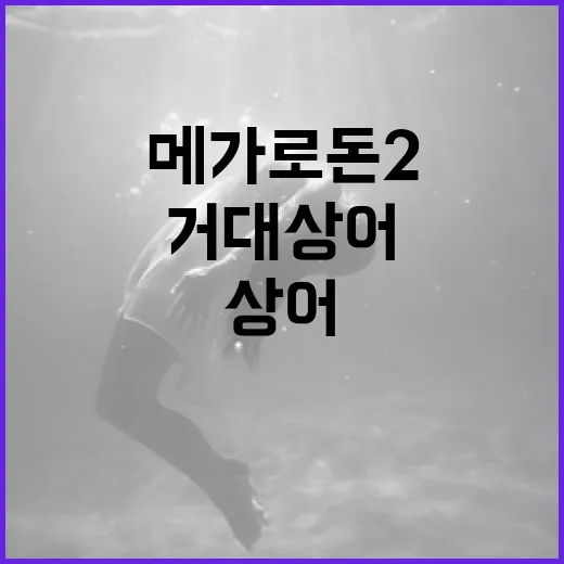 메가로돈2: 심해의 거대 상어에 대해 알아보자 - 요약