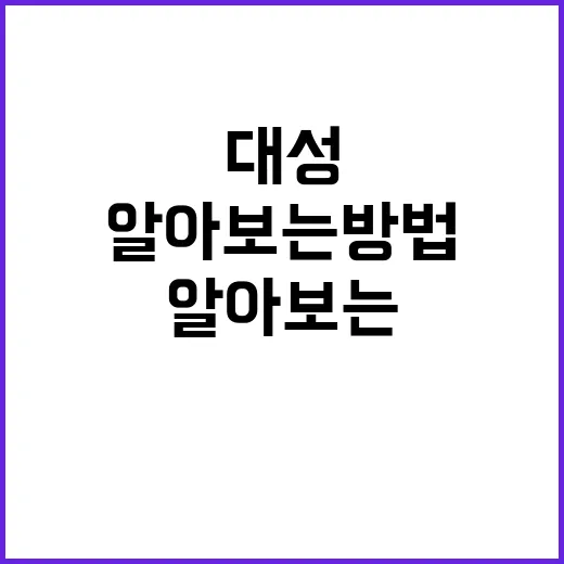 대성 허영지의 매력을 알아보는 방법 - 요약