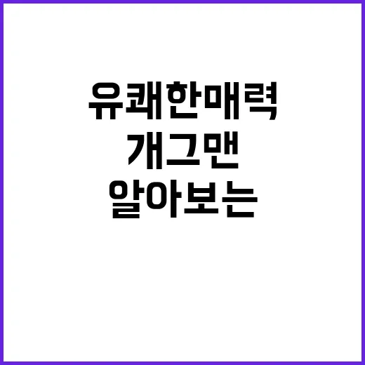 개그맨 임성훈의 유쾌한 매력을 알아보는 방법 - 요약