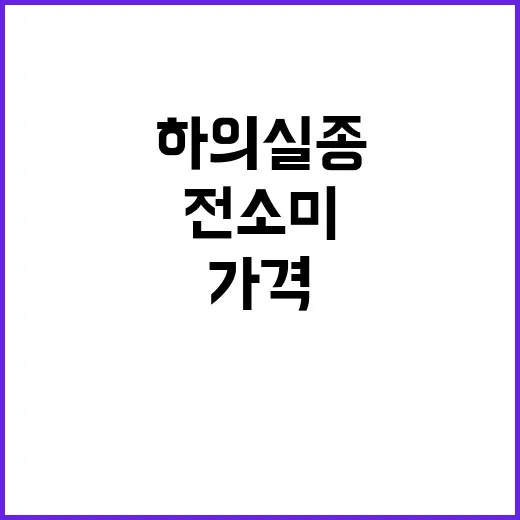 사나와 전소미의 하의실종 패션, 가격은 얼마일까? - 요약