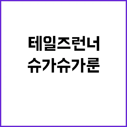 테일즈런너에서 슈가슈가룬을 즐기는 방법 - 요약