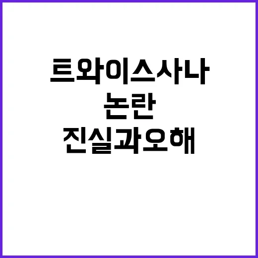트와이스 사나 패션 논란의 진실과 오해 - 요약
