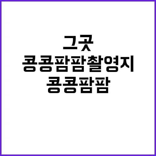 콩콩팜팜 촬영지, 여기가 바로 그곳이에요! - 요약