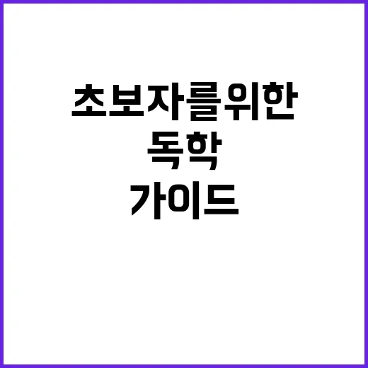 싸움독학, 초보자를 위한 가이드 - 요약