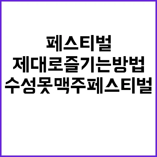 수성못 맥주페스티벌, 제대로 즐기는 방법 - 요약