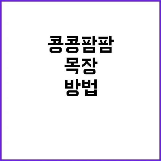 콩콩팜팜 목장을 찾는 가장 쉬운 방법 - 요약