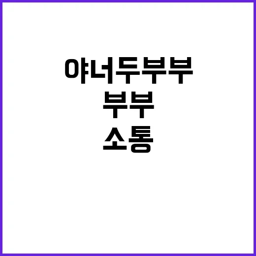 야너두부부 인스타로 소통하는 방법 - 요약