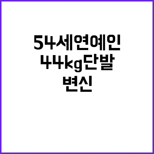 54세 연예인이 44kg 단발로 변신한 비결 - 요약