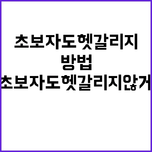 심수창 와이프 정보, 초보자도 헷갈리지 않게 확인하는 방법 - 요약