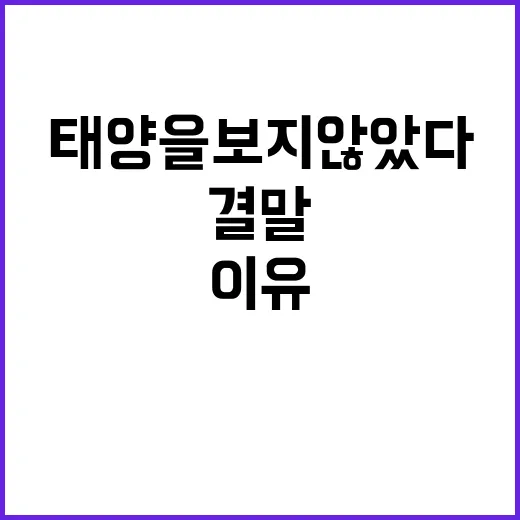 태양을 보지 않았다 결말 이해하는 방법, 마지막 장면이 찝찝했던 이유 - 요약