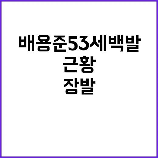 배용준 53세 백발 장발 근황, 과장 없이 확인하는 방법 - 요약