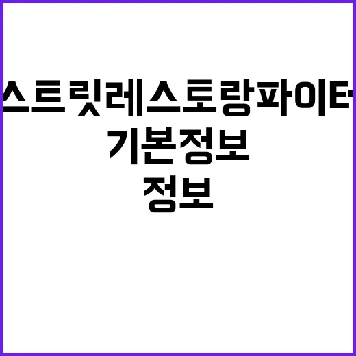 스트릿레스토랑파이터의 기본정보와 매력 알아보기 - 요약