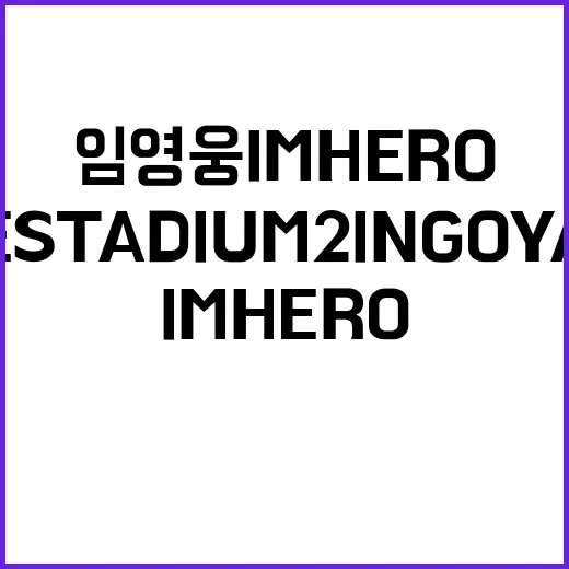 임영웅 IM HERO THE STADIUM 2 in Goyang 예매와 관람 준비하는 방법 - 요약