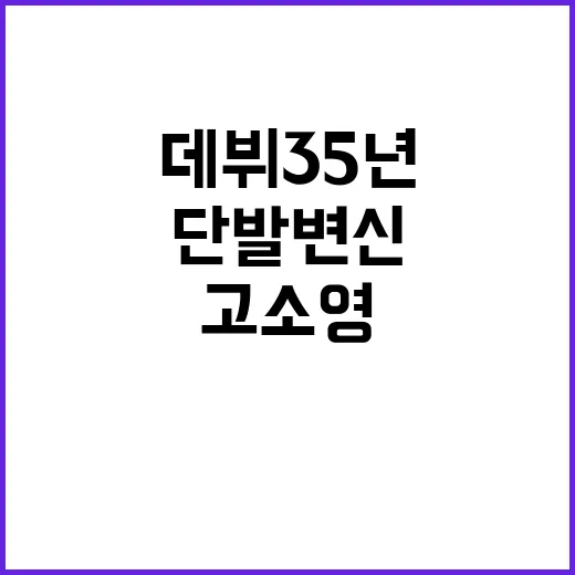 고소영 데뷔 35년 단발 변신, 분위기 있게 따라 하는 방법 - 요약