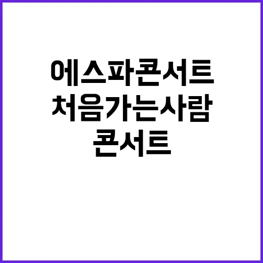에스파 콘서트 처음 가는 사람도 당황하지 않는 준비 방법 - 요약