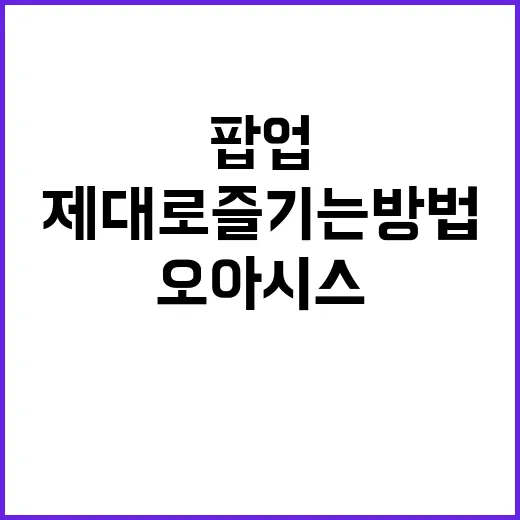 태양을 보지 않았다면 결말 이해하는 방법, 복잡한 반전까지 쉽게 풀어보기 - 요약