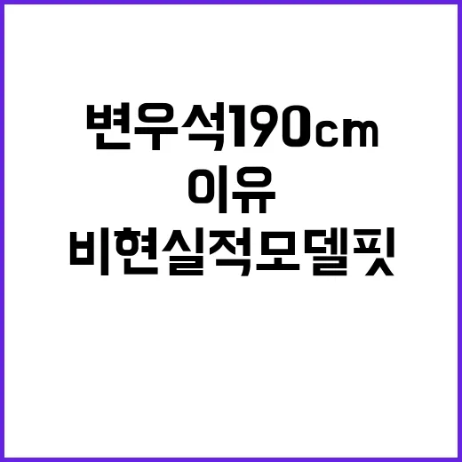 변우석 190cm 비현실적 모델핏이 더 돋보이는 이유와 참고하는 방법 - 요약