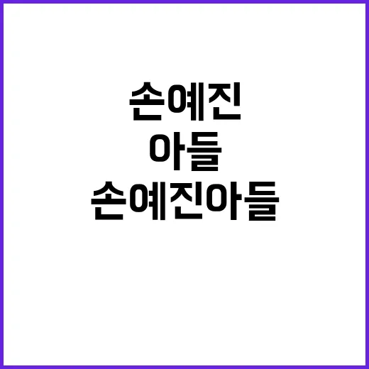 손예진 아들 소식 궁금할 때 확인하는 방법 - 요약