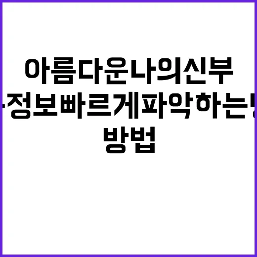 아름다운 나의 신부 기본정보 빠르게 파악하는 방법 - 요약