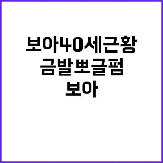 보아 40세 근황처럼 금발 뽀글펌 분위기 내는 방법 - 요약