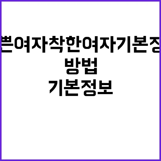 나쁜여자착한여자 기본정보 빠르게 확인하는 방법 - 요약
