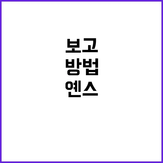옌스 국적 궁금할 때 확인하는 방법, 이름만 보고 헷갈리지 않으려면 - 요약