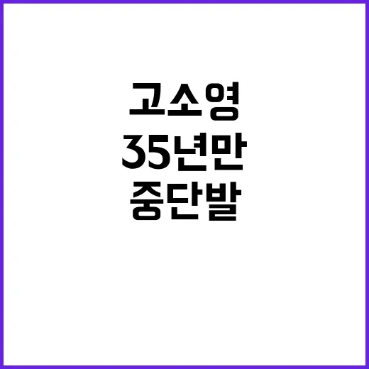 고소영처럼 중단발 분위기 살리는 방법, 35년 만의 변신에서 배울 포인트 - 요약