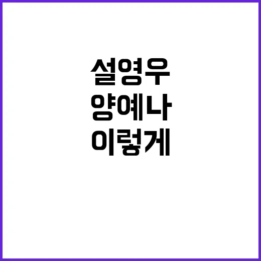 설영우 양예나 소식 확인하는 방법, 루머와 공식 정보를 구분하려면 이렇게 - 요약