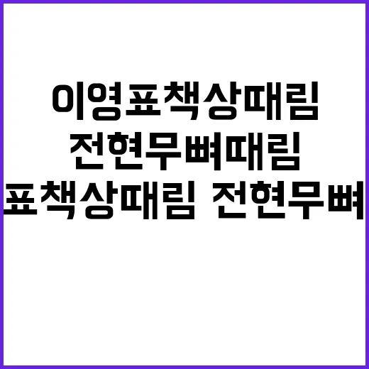 이영표 책상 때림·전현무 뼈 때림 밈 이해하는 방법 - 요약