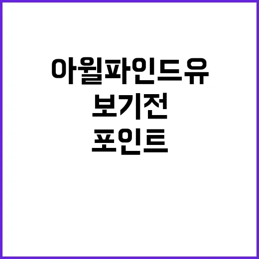 아윌파인드유 제대로 즐기는 방법, 보기 전 알아두면 좋은 포인트 - 요약