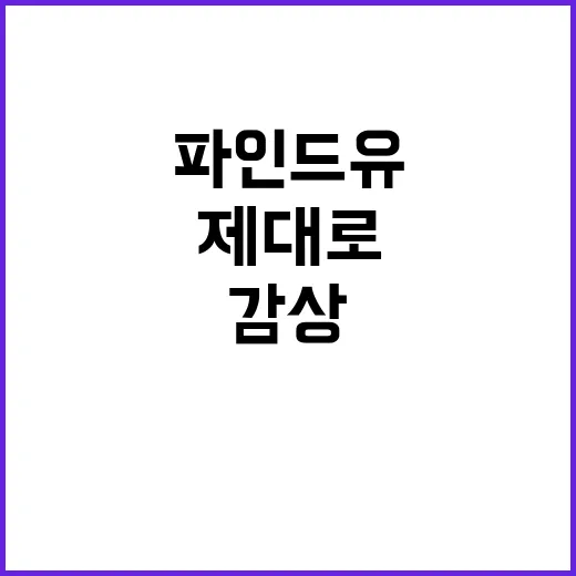 아윌파인드유 제대로 찾고 감상 포인트 잡는 방법 - 요약
