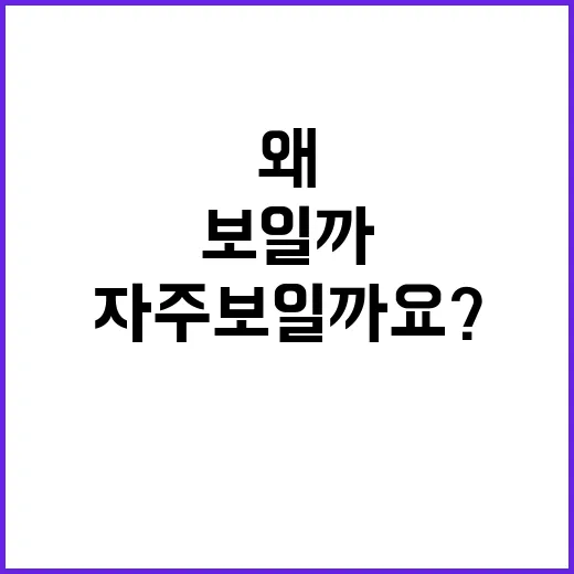 최주원, 갑자기 왜 검색창에 자주 보일까요? - 요약