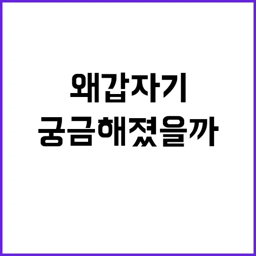 조이디, 왜 갑자기 다시 궁금해졌을까요? - 요약